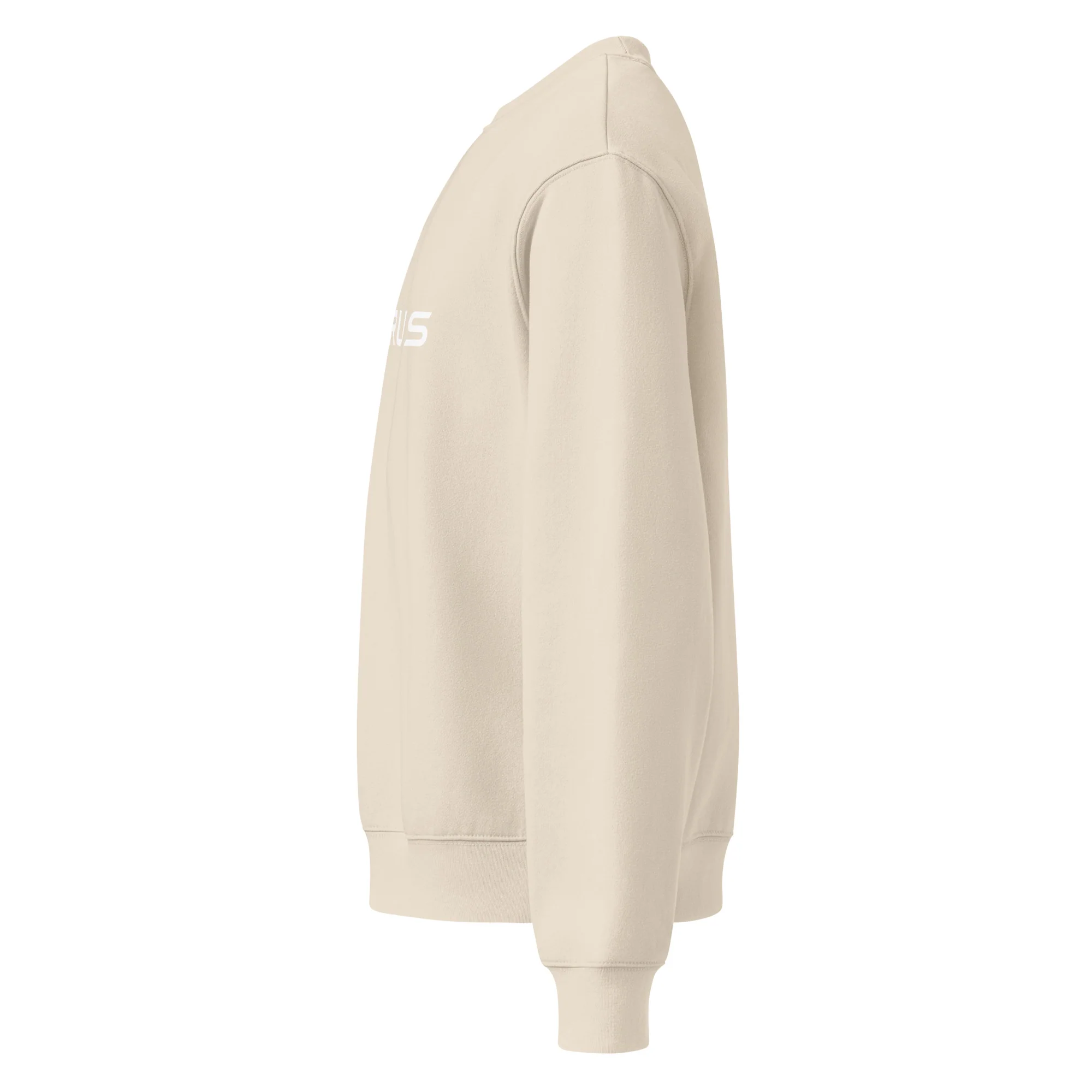 Bella + Canvas Chorus Oversized Sweatshirt - Image 21