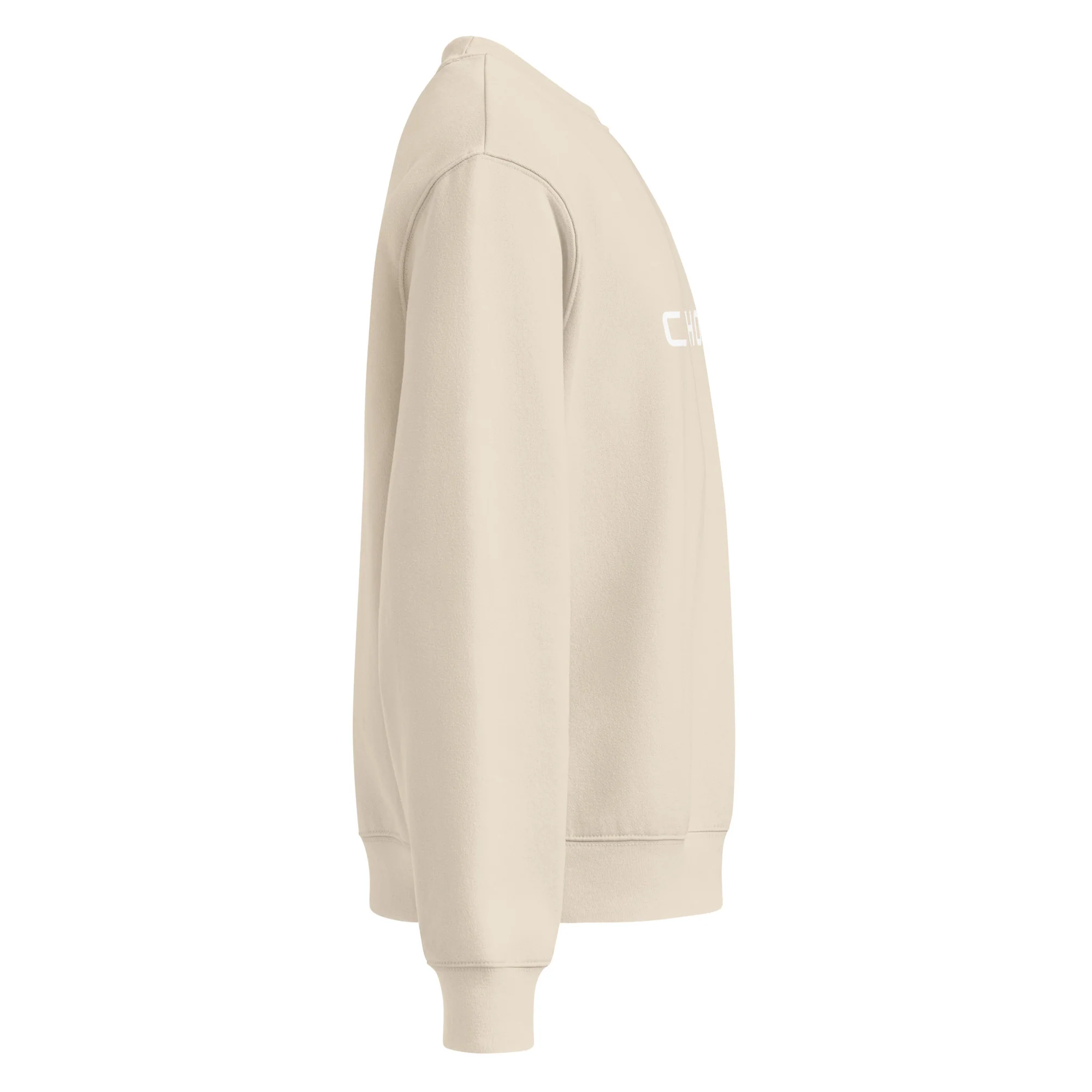 Bella + Canvas Chorus Oversized Sweatshirt - Image 22