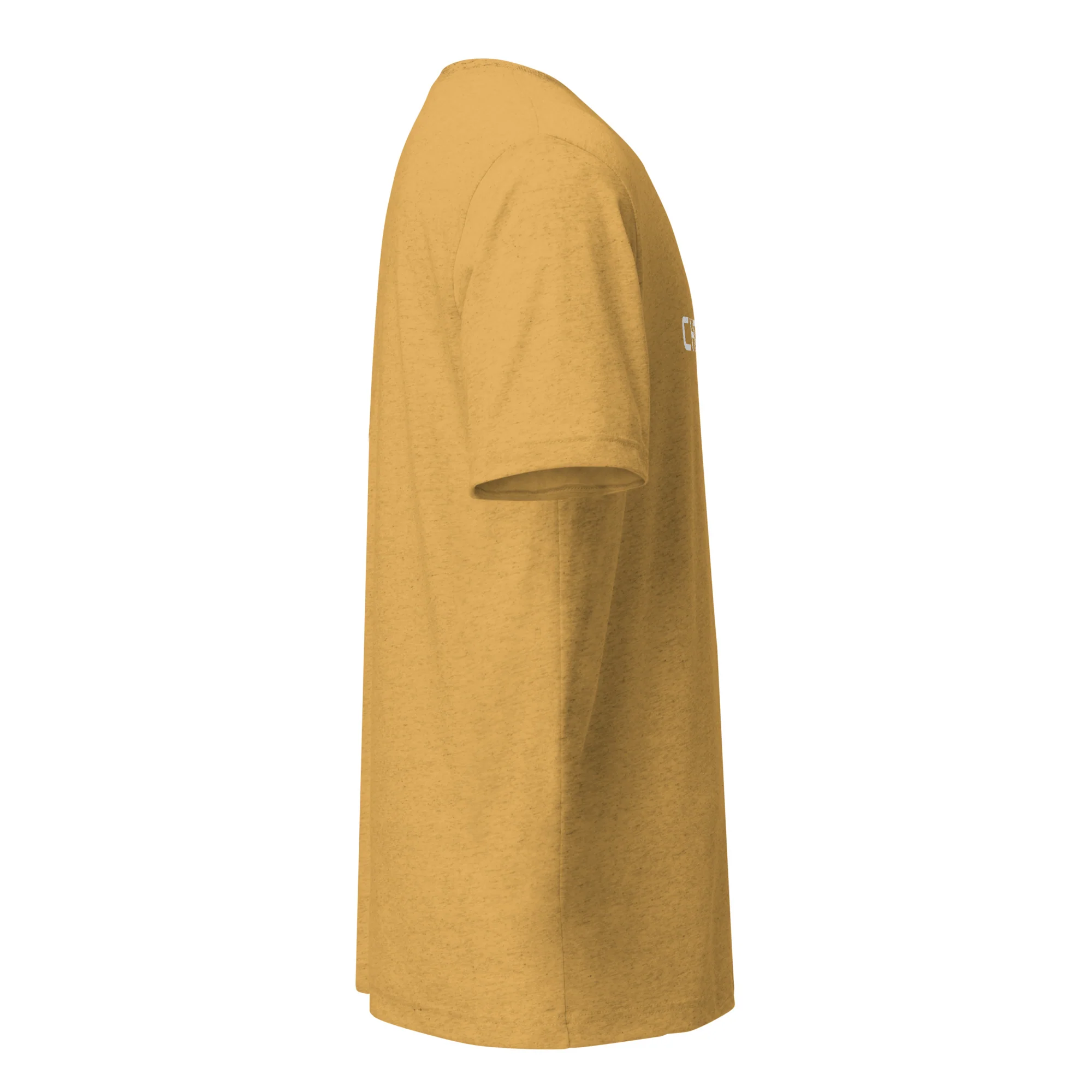 Bella + Canvas Chorus Tri-Blend T - Image 61