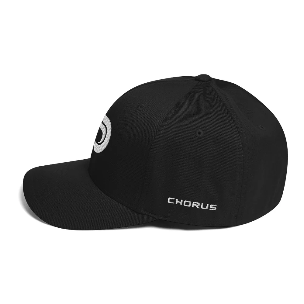 Chorus Logo Flexfit Hat - Image 11