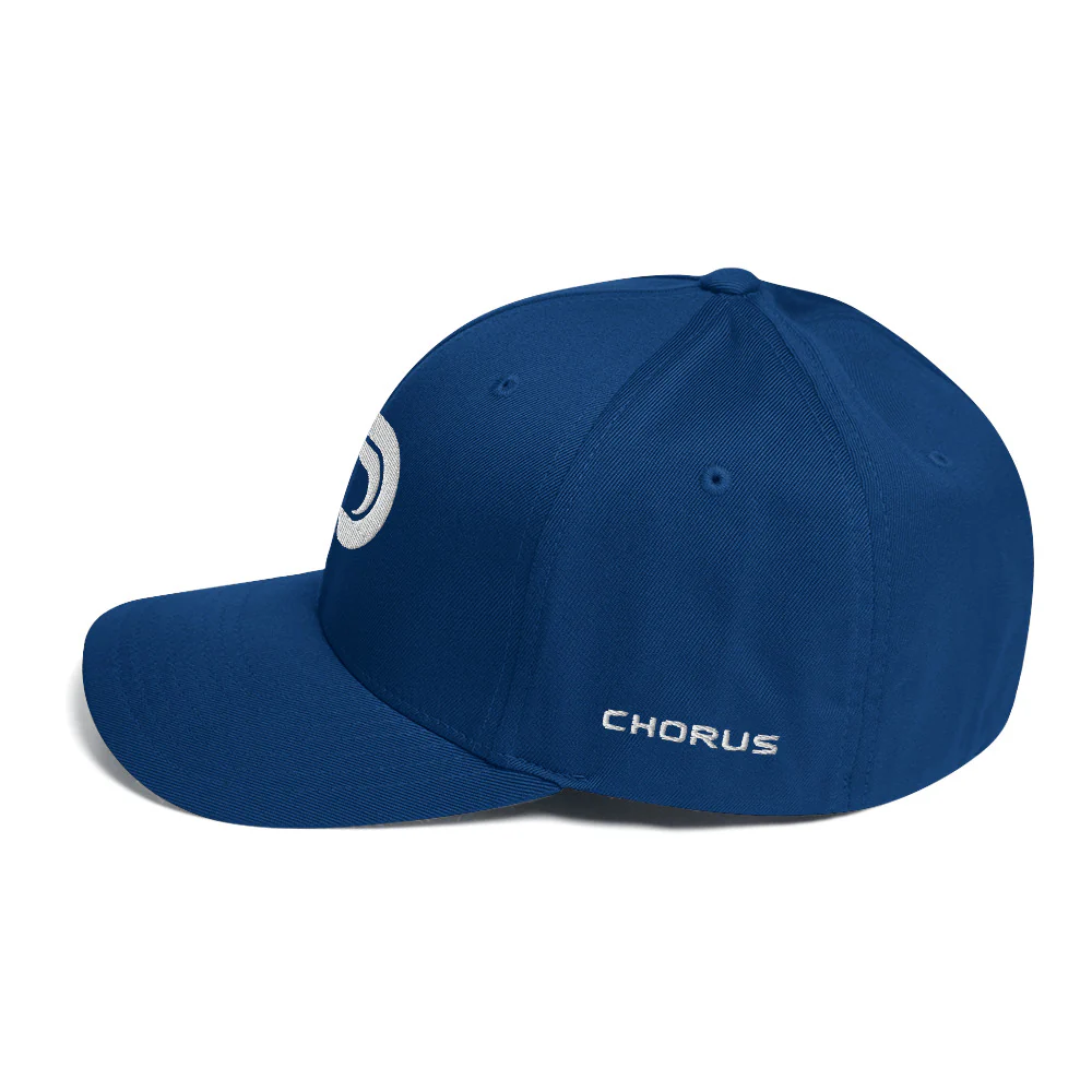 Chorus Logo Flexfit Hat - Image 14