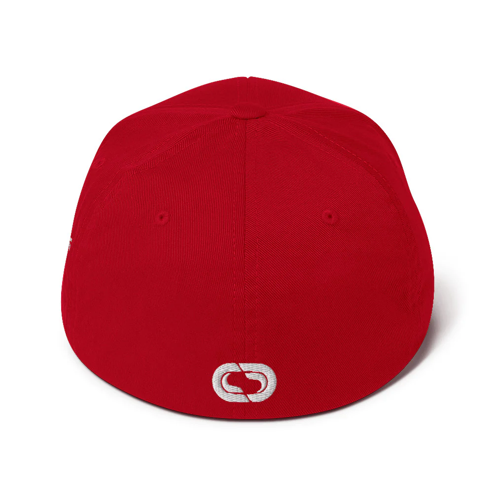 Chorus Logo Flexfit Hat - Image 18