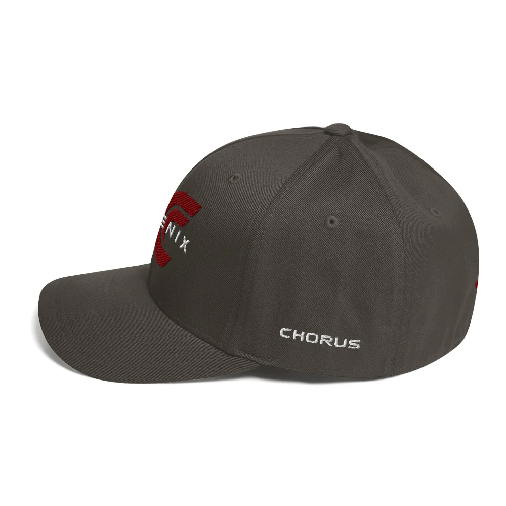 Phoenix Logo Flexfit Hat - Image 10