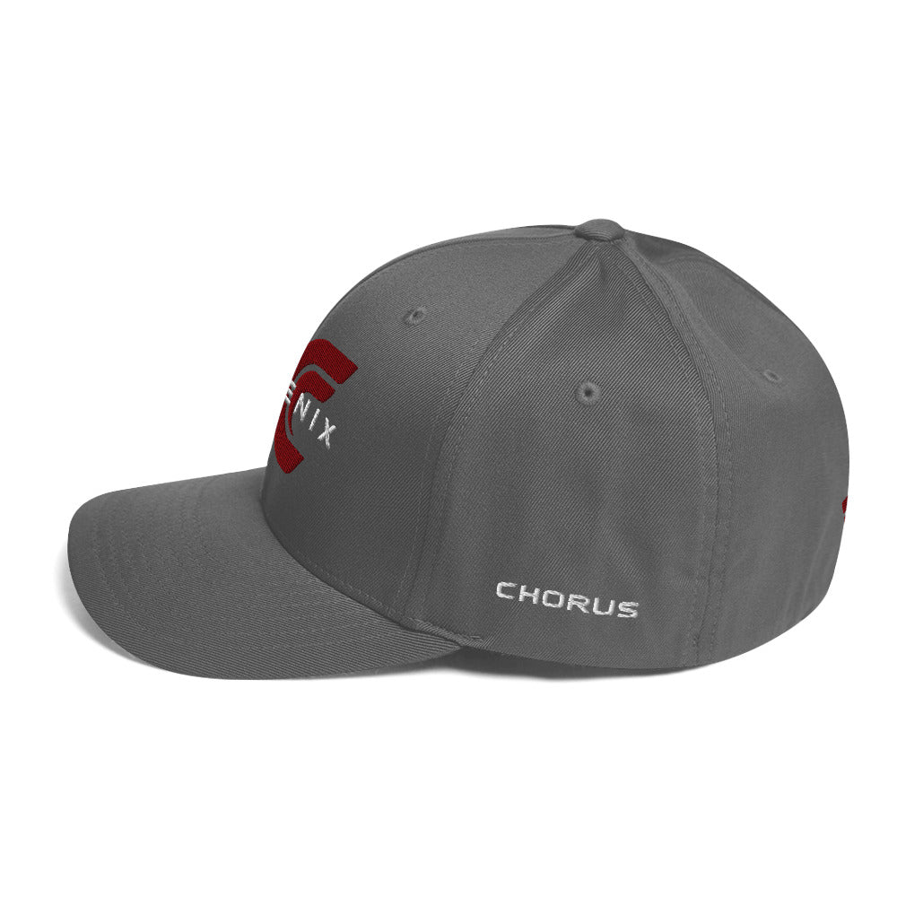 Phoenix Logo Flexfit Hat - Image 14