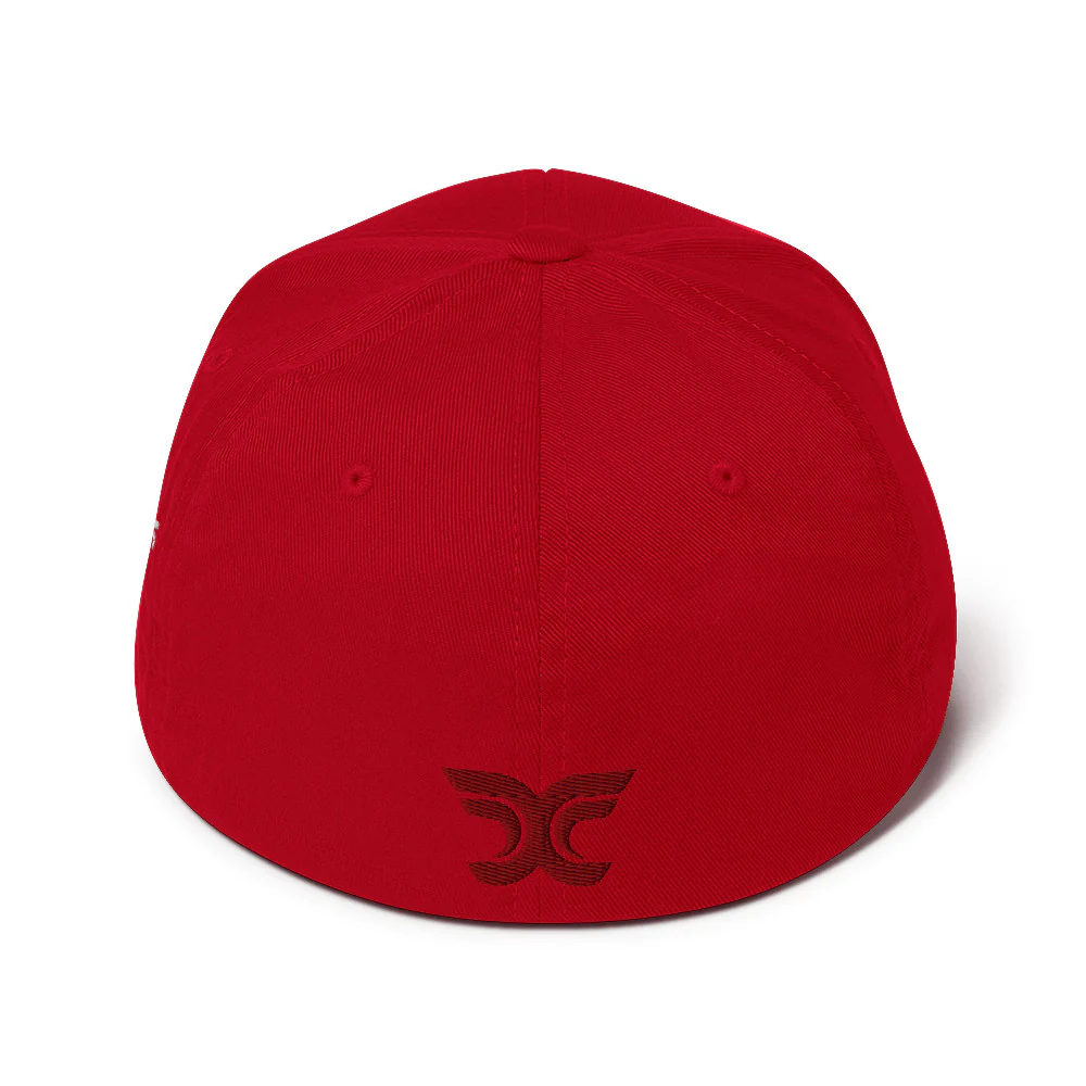 Phoenix Logo Flexfit Hat - Image 24