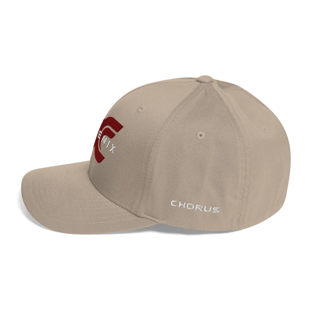 Phoenix Logo Flexfit Hat - Image 26